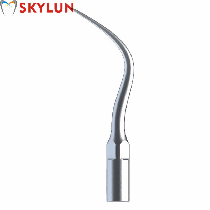 5PCS P4 Dental Ultrasonic Scal - Dental Scaler Ultrasonic recension och pris